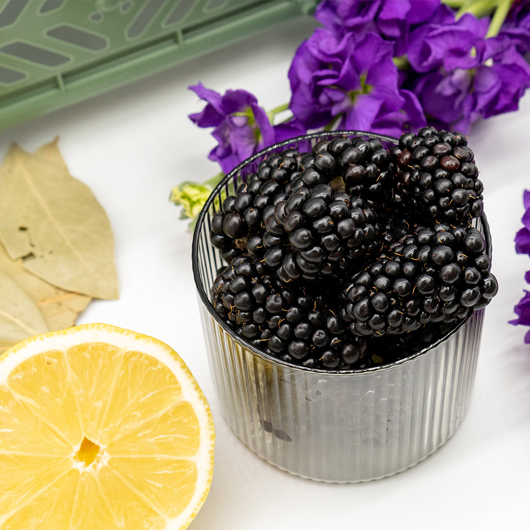 Bay Tree + Blackberry