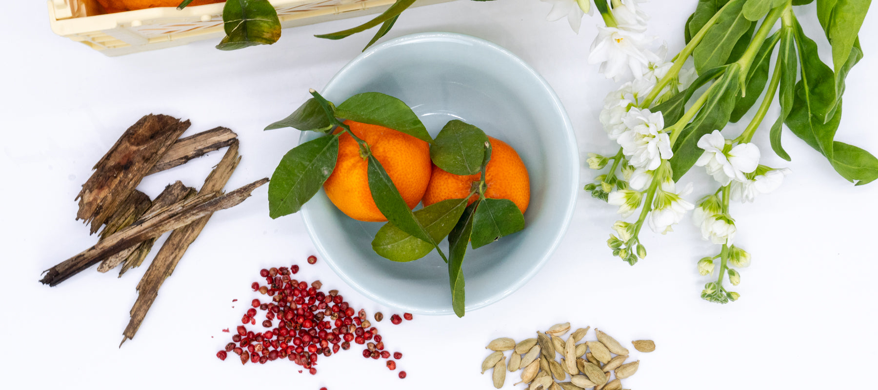 Mandarin + Sandalwood