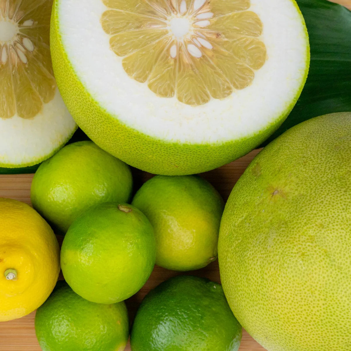 Bergamot + Pomelo Reed Diffuser Refill