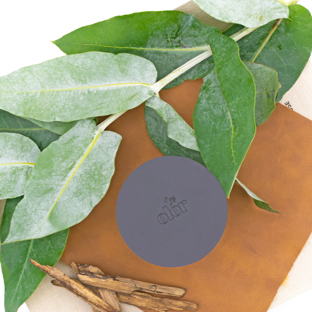 Smoked Leather Fragrance Oil