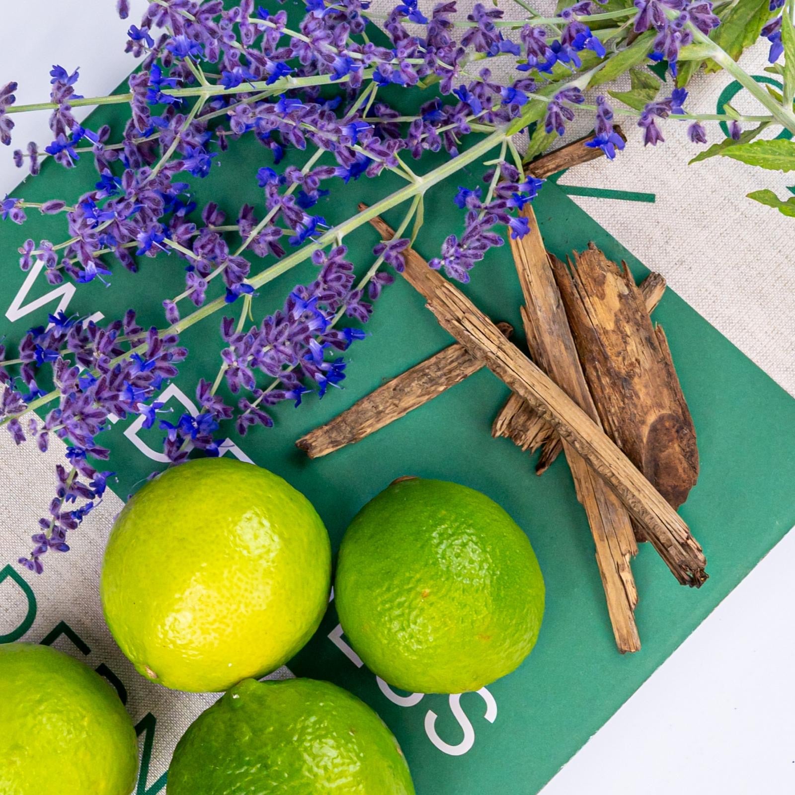 Cedar, Lime + Lavender Mini Reed Diffuser