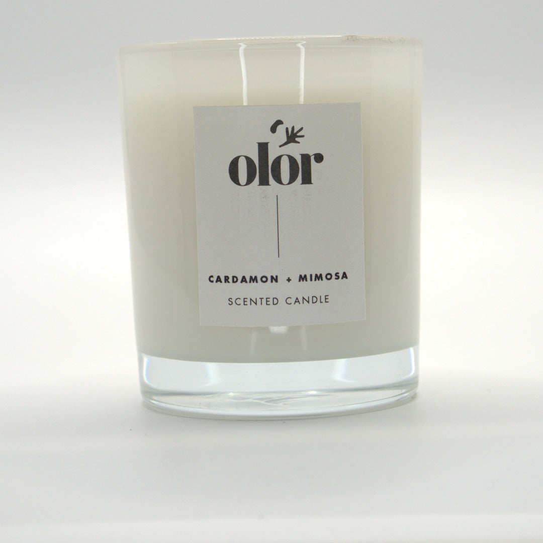 Cardamon + Mimosa Classic Candle