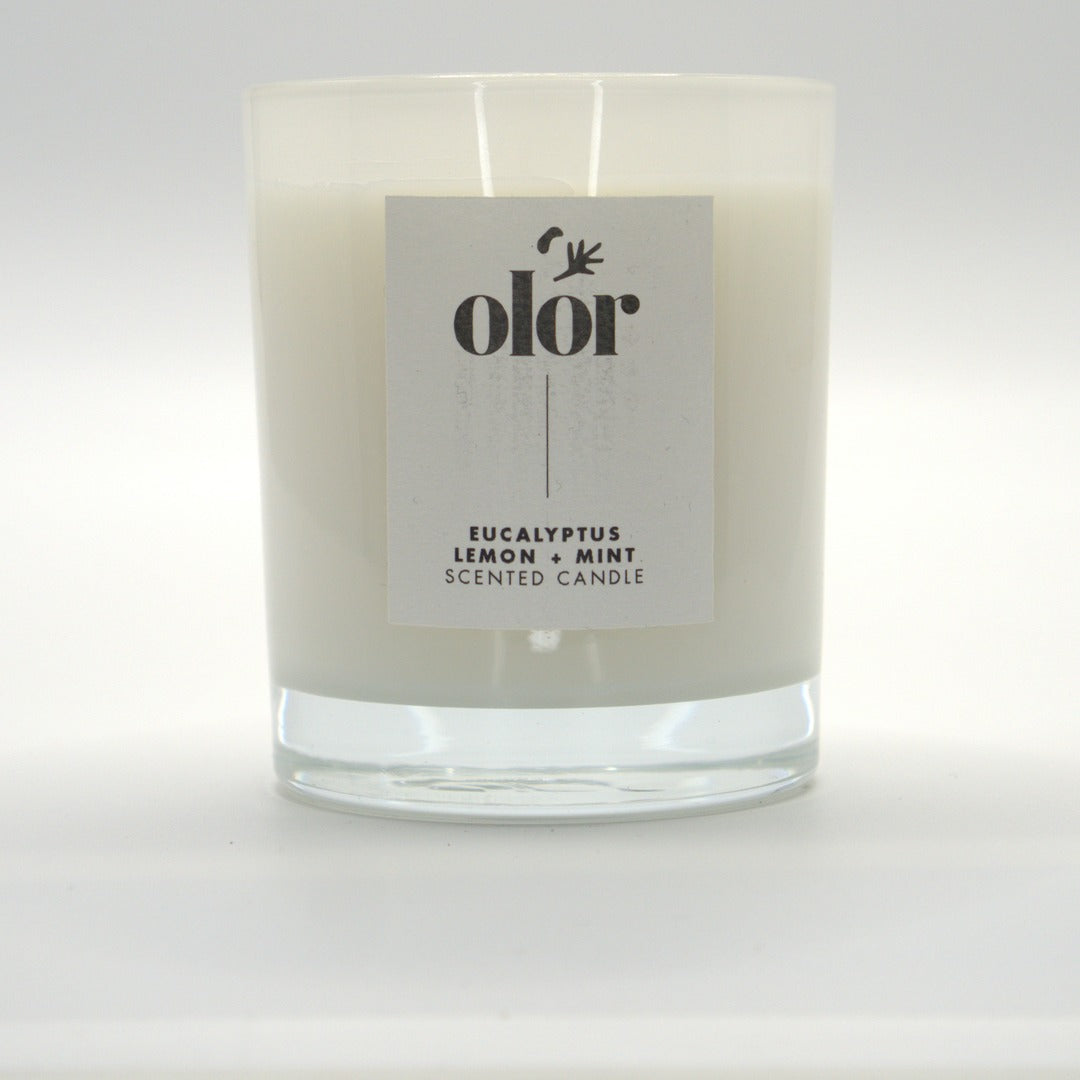 Eucalyptus, Lemon + Mint Classic Candle