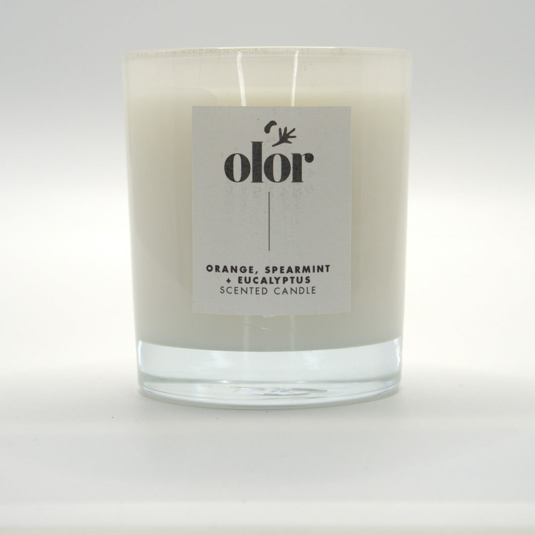 Orange, Spearmint + Eucalytpus Classic Candle