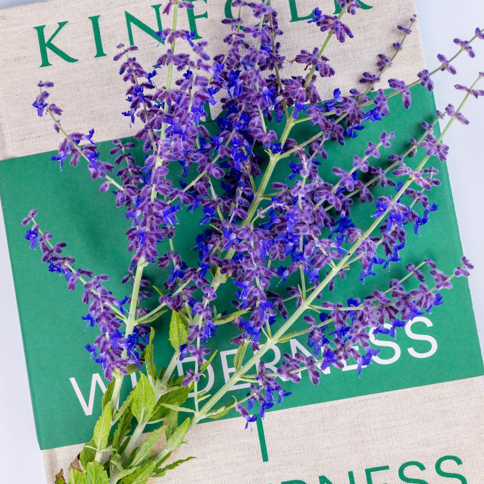 English Garden Lavender Mini Reed Diffuser