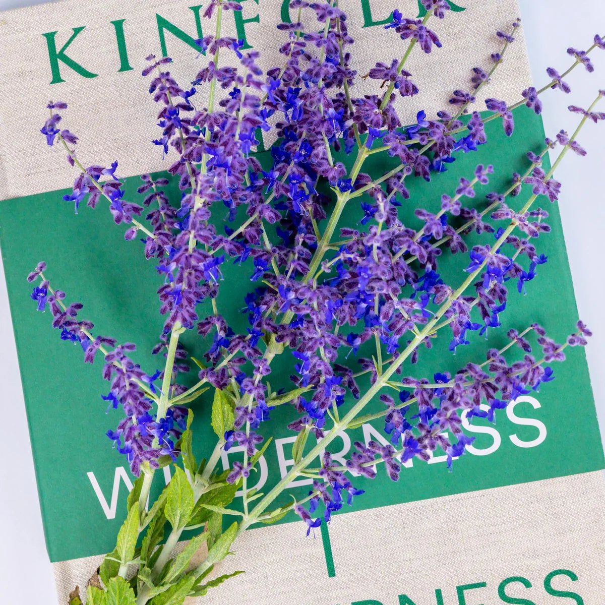English Garden Lavender Scented 3 Wick Jar Candle
