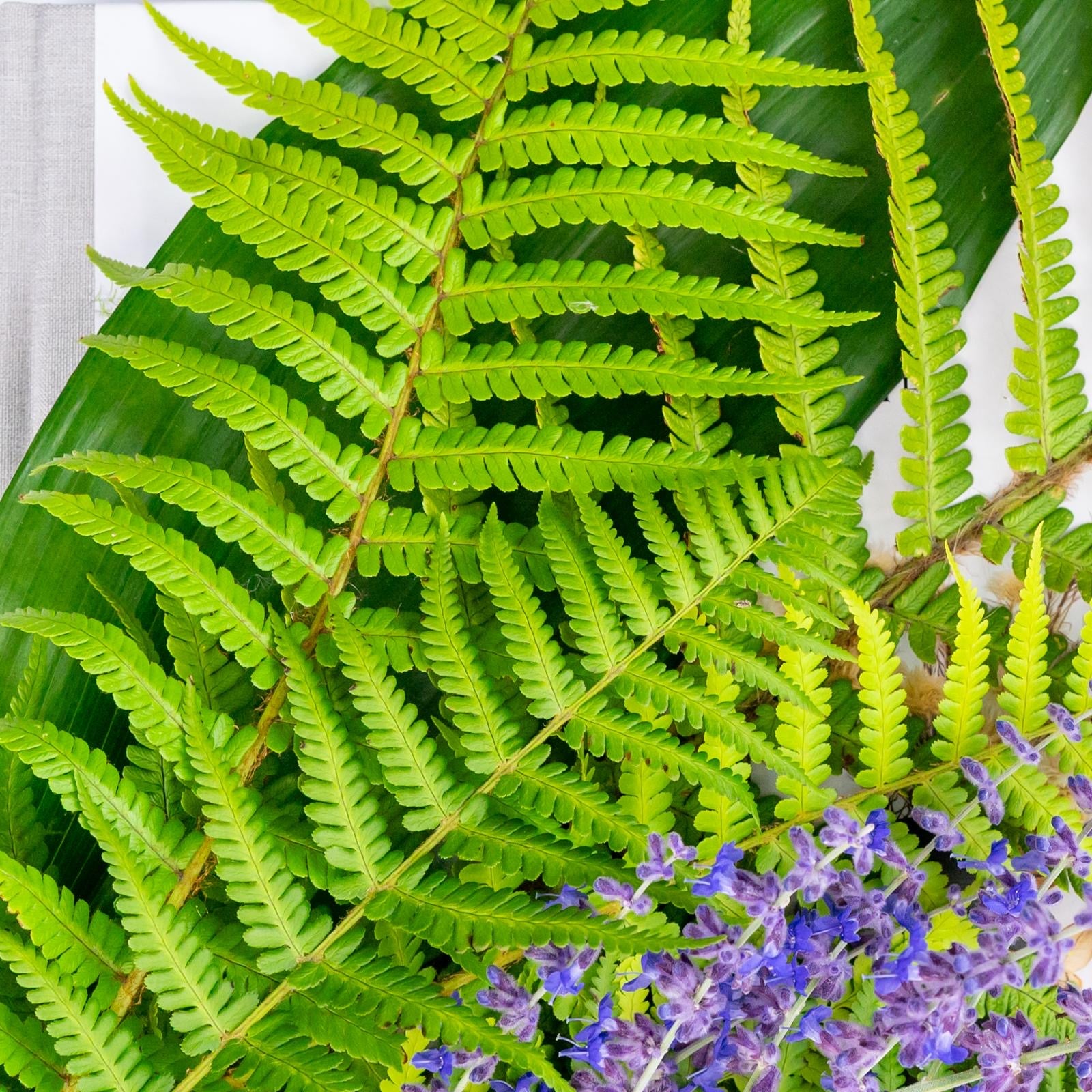 Fern + Patchouli Jar Candle