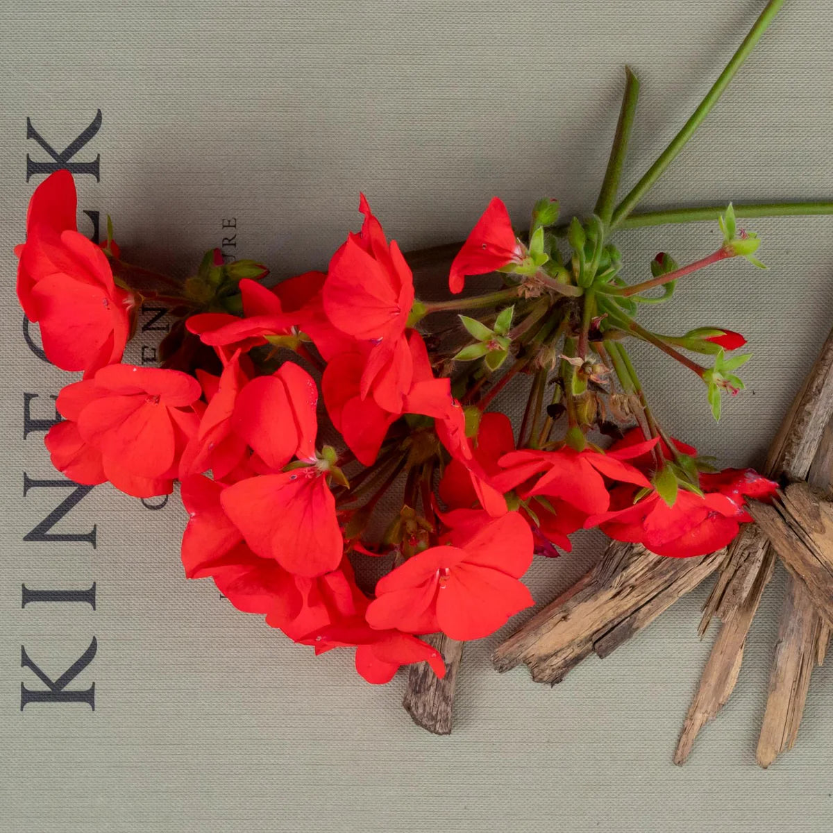 Geranium + Oud Scented 3 Wick Jar Candle