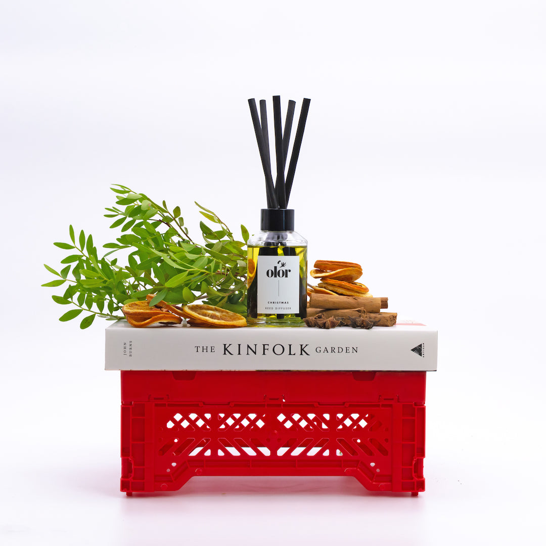 Christmas Diffuser
