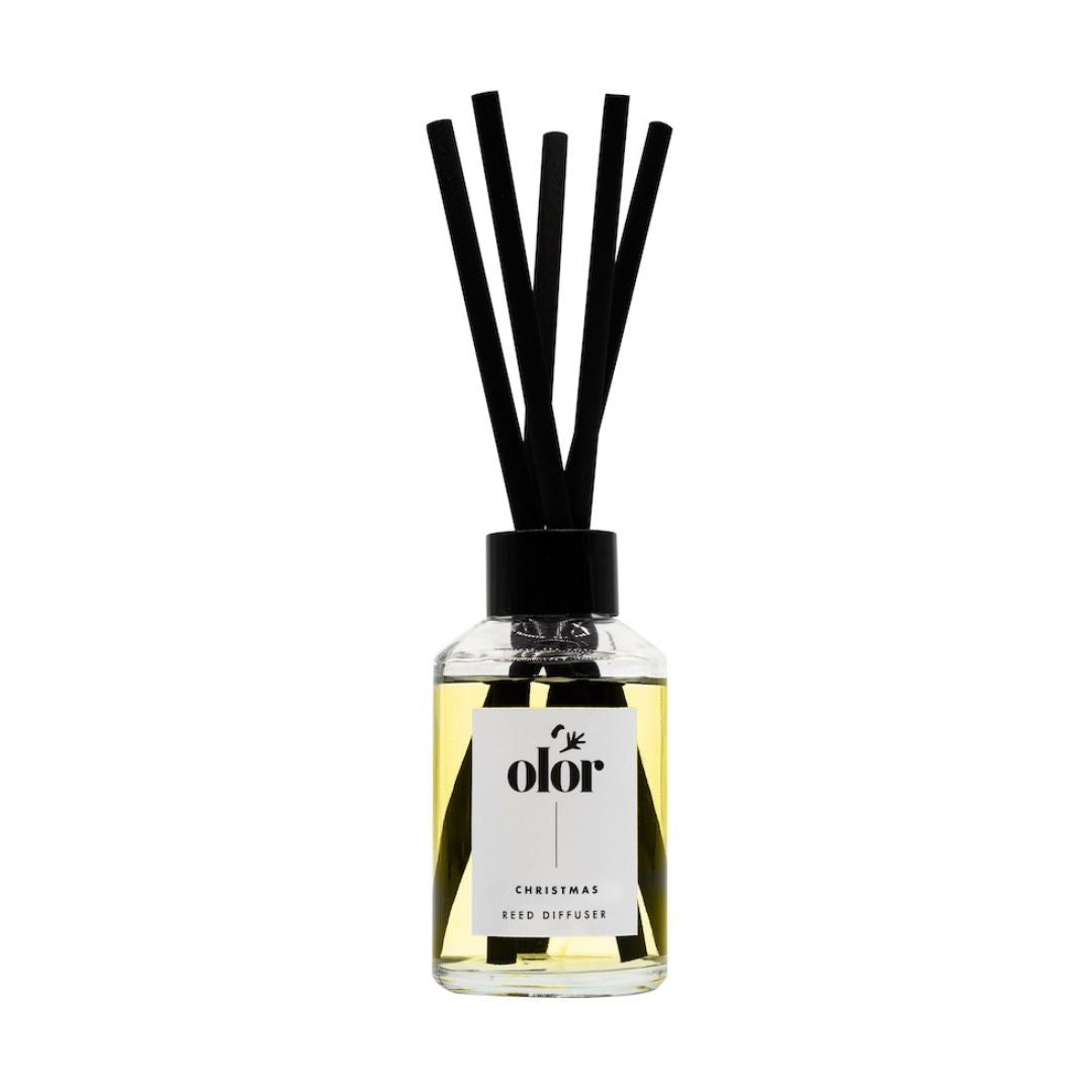 Christmas Diffuser