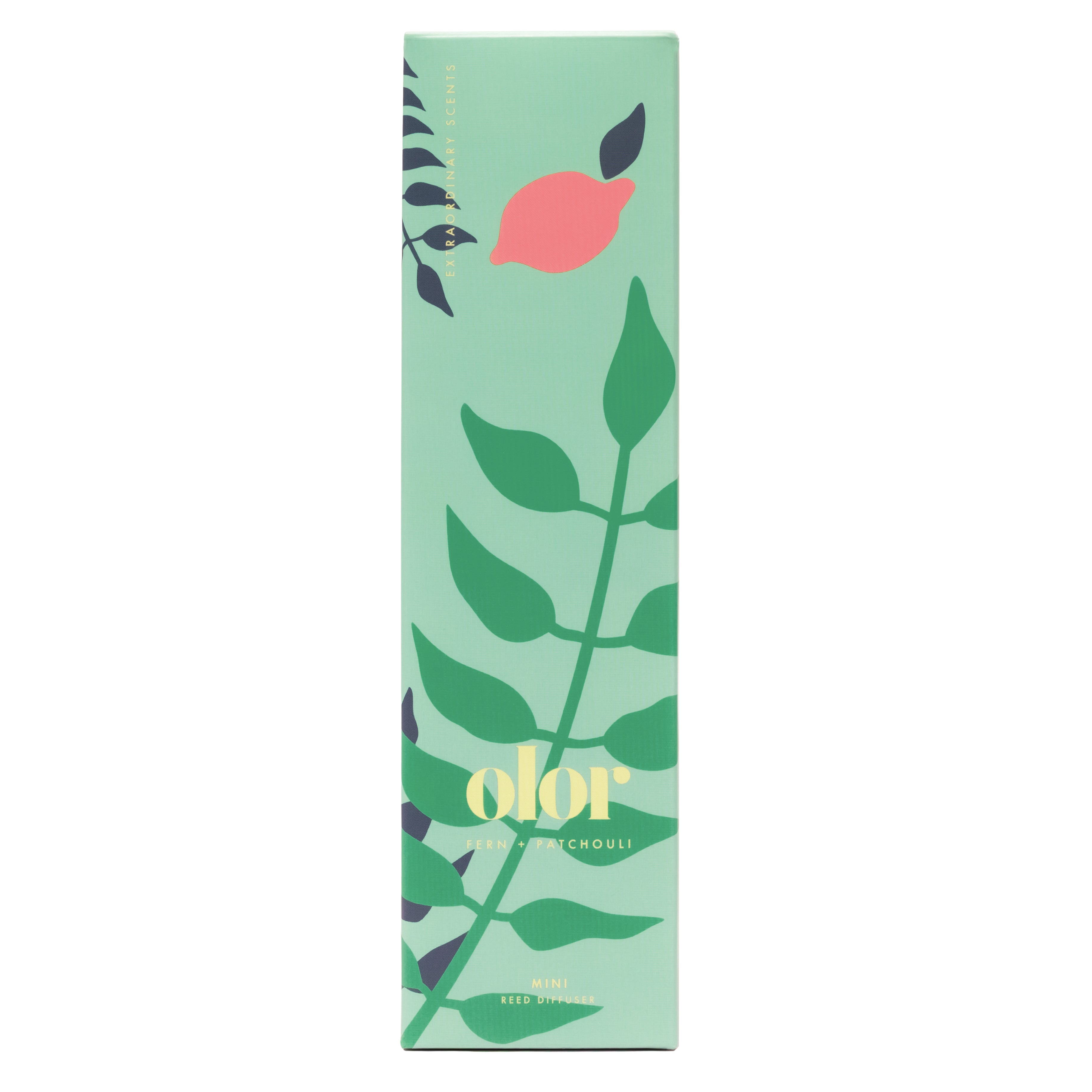 Fern + Patchouli Mini Reed Diffuser