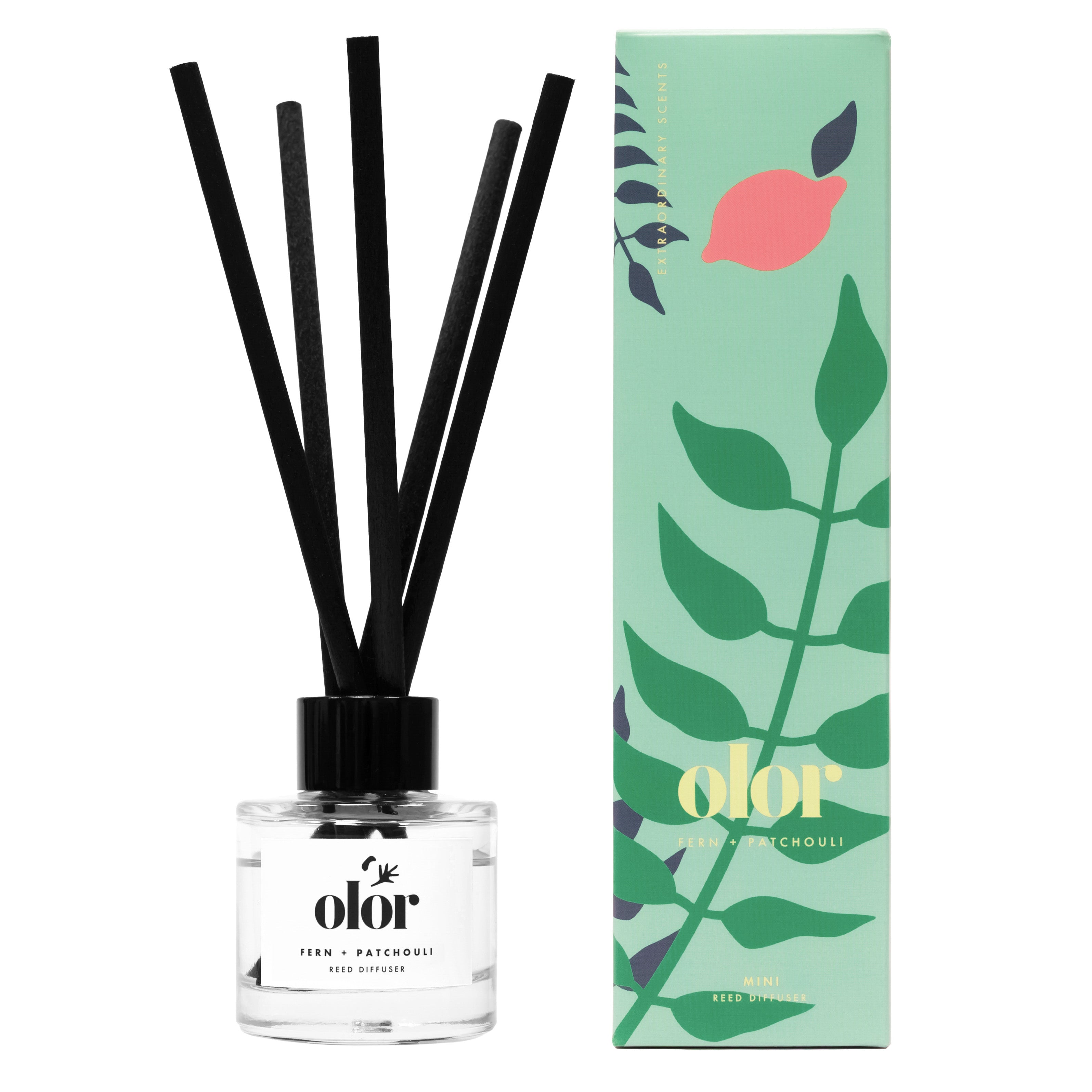 Fern + Patchouli Mini Reed Diffuser
