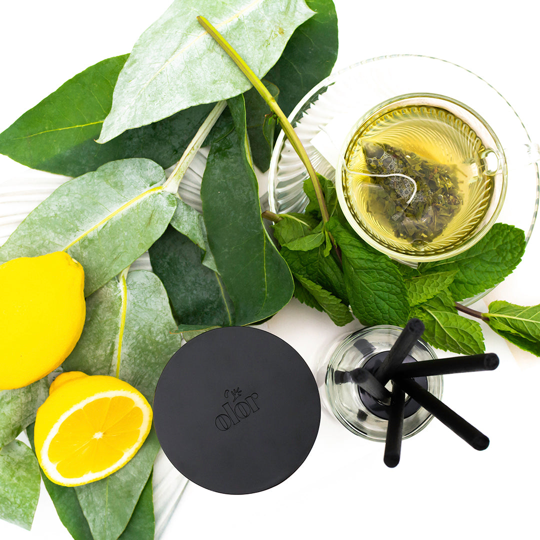 Wild Mint Tea Diffuser Refill