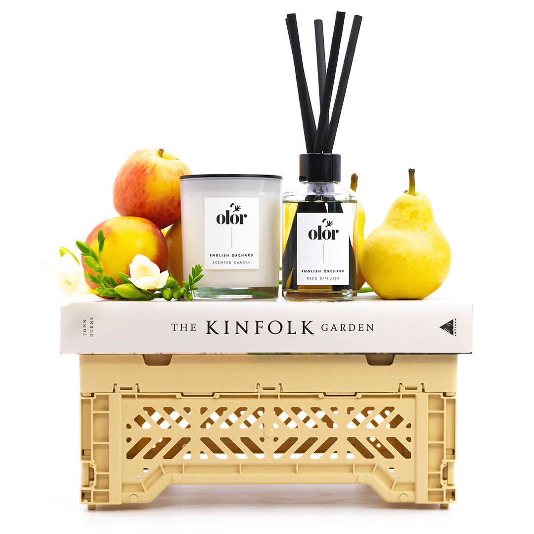 Classic Candle + Reed Diffuser Set